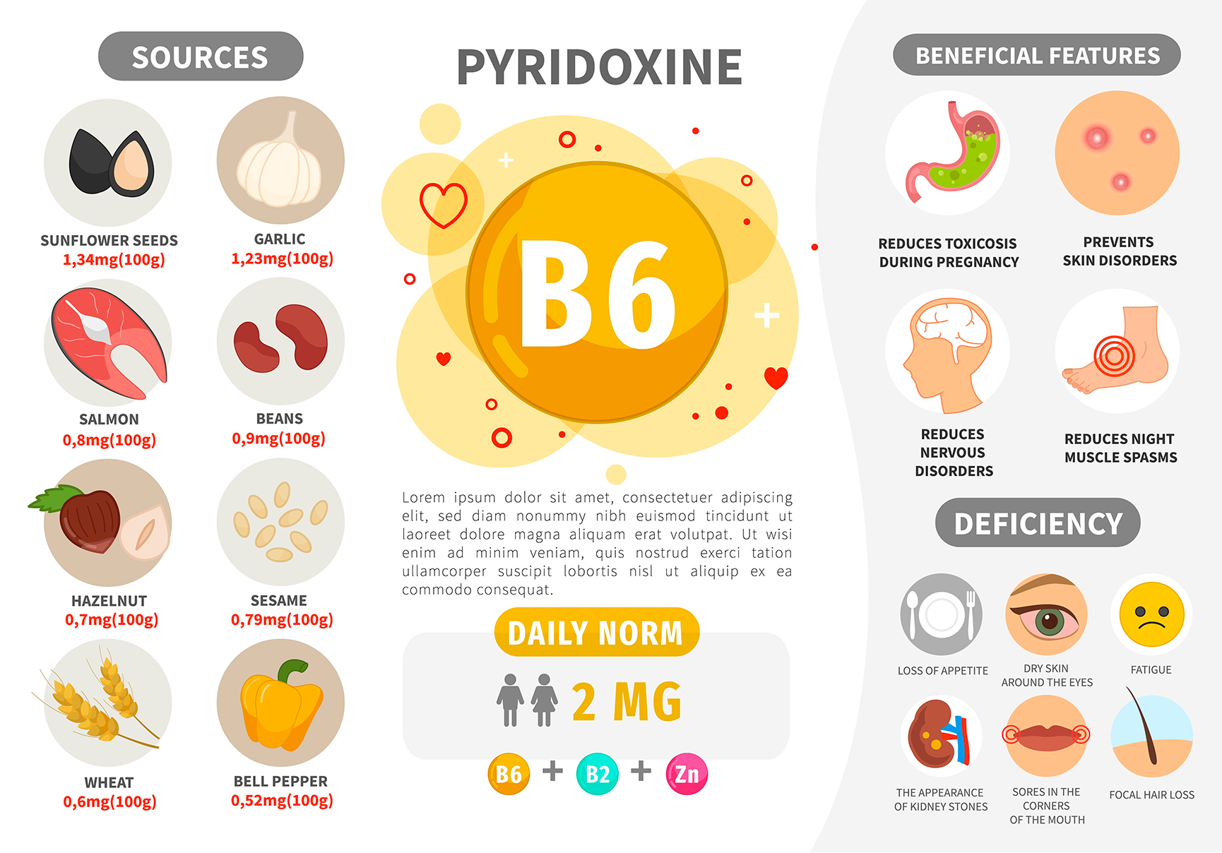 vitamin b6 infographic