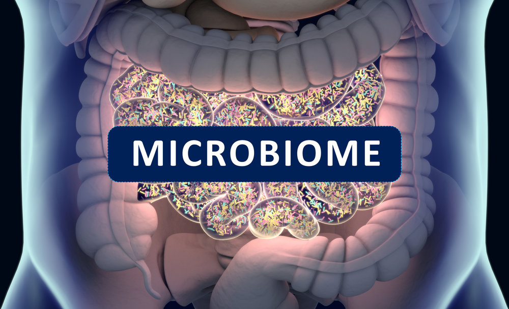 gut microbiome