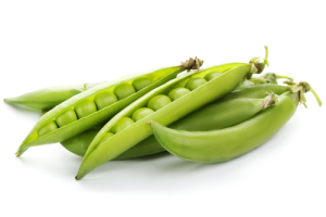 green peas prebiotic fiber